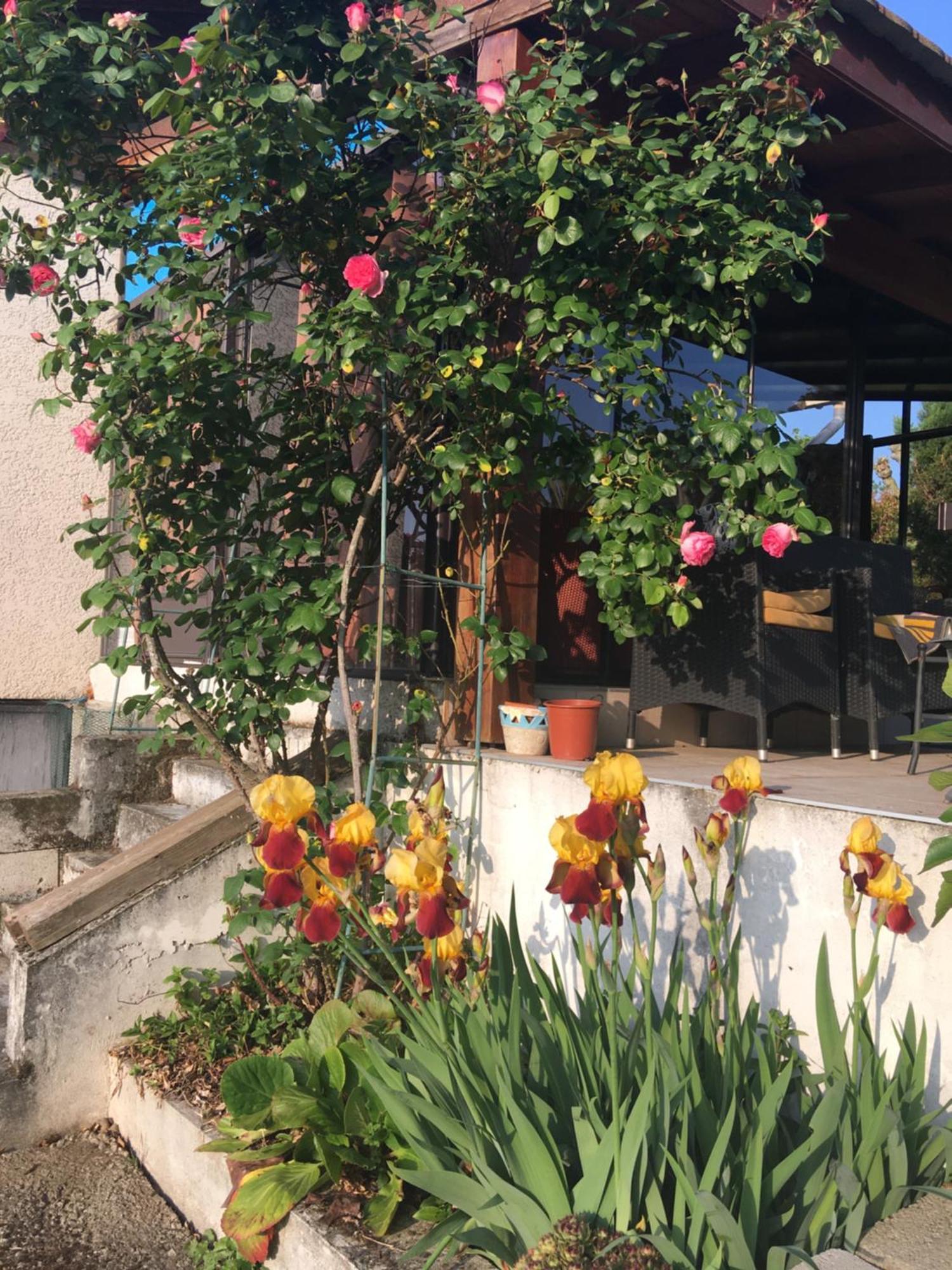 La Colombe Apartman Vienne Kültér fotó